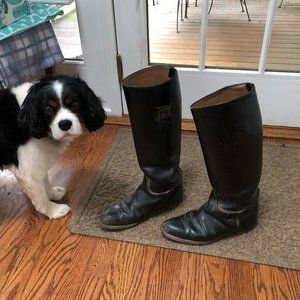 Colt English Riding Boots